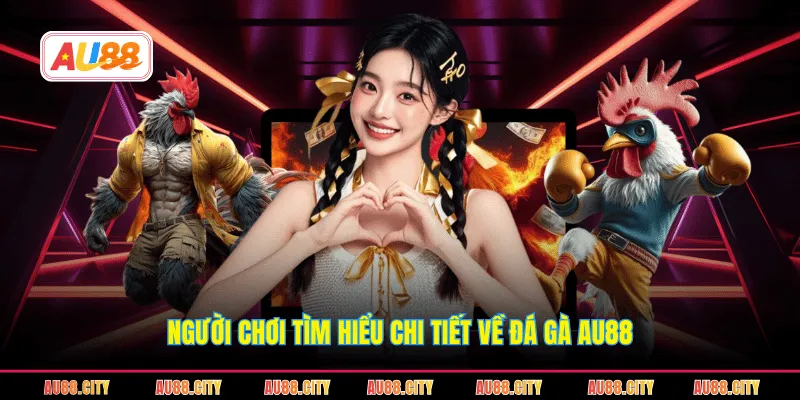 Người chơi tìm hiểu chi tiết về đá gà AU88